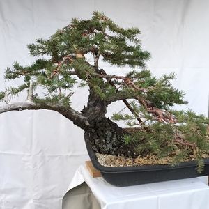 Meet your Posher, Tim